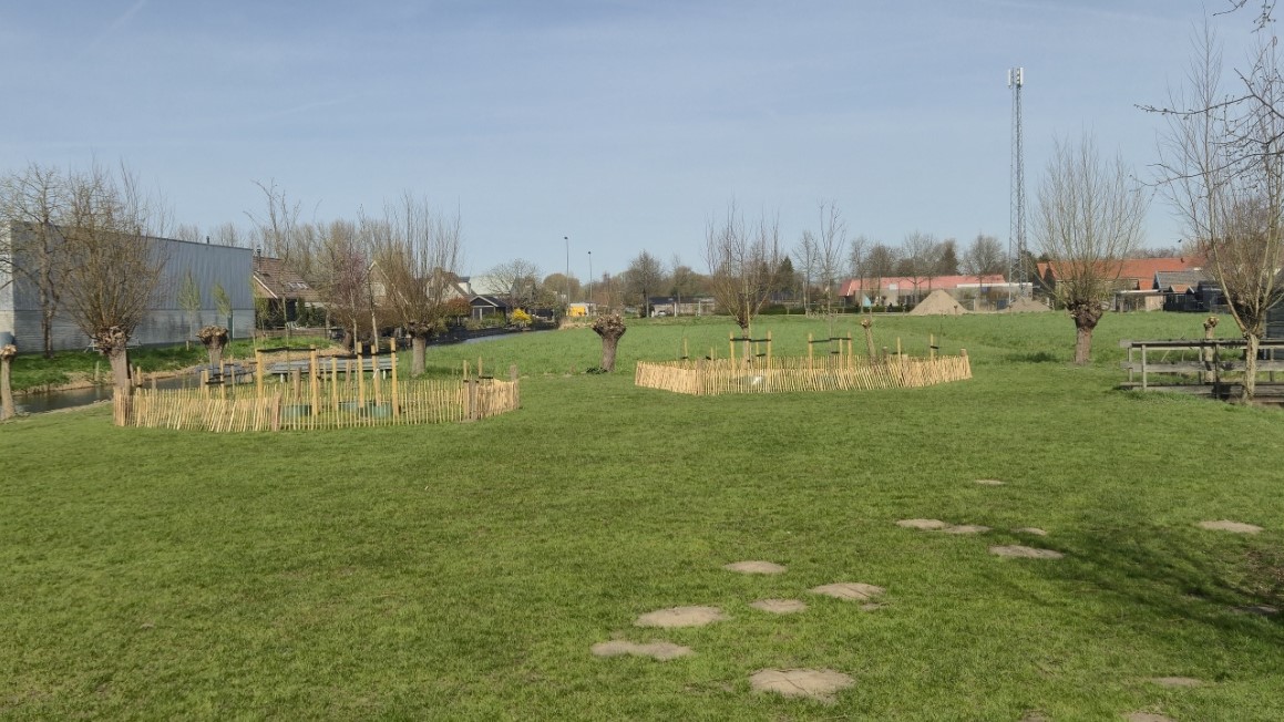 beplanting